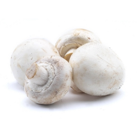 PIECZARKA POLSKA 500G
